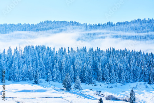 Ski resort, ski slope, ski lift, pine trees and fog mountains panorama