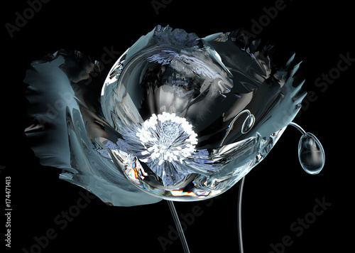 Fototapeta Naklejka Na Ścianę i Meble -  poppy with radiate stamen that illuminate the flower