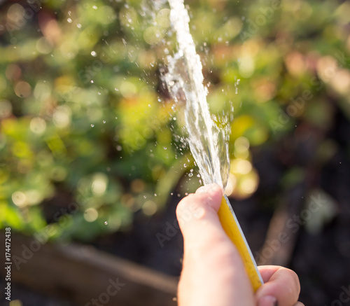 splashing water from a hose in the garden