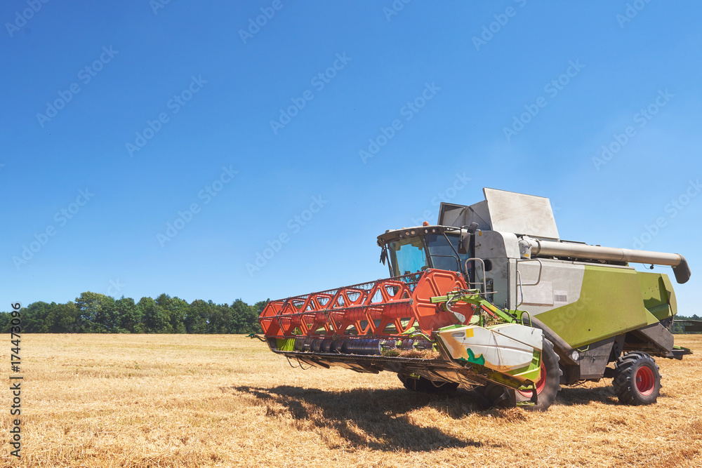 Fototapeta premium combine harvester working on a wheat field