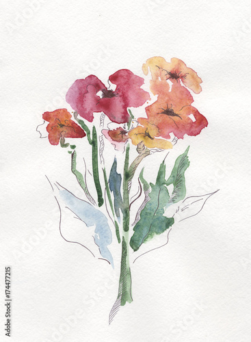 Bouquet of yellow and red poppies, watercolor