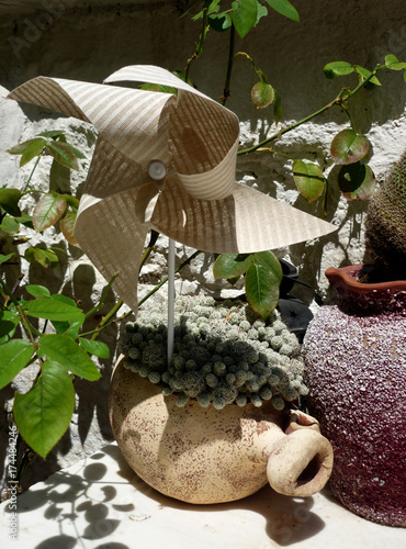 Flowerpots with cactus