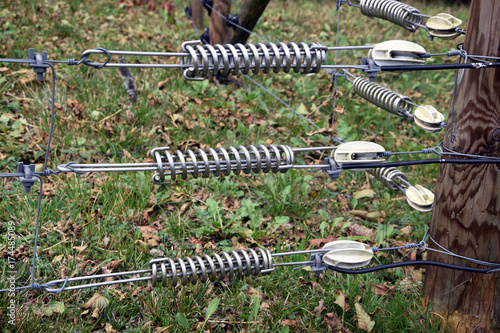 Fototapeta Naklejka Na Ścianę i Meble -  Fence Recinto electrified Zaun elettrificato Valla elettrico Cerca electrificada eletrificada elektrifizierter Clôture électrifiée Ogrodzenie zelektryfikowane Geëlektrificeerde hek Villámzott kerítés