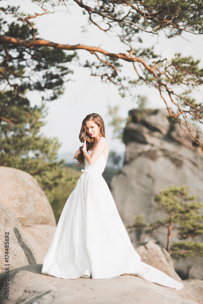 Beautiful bride posing near rocks against background the mountains Beautiful bride posing near rocks against background the mountains