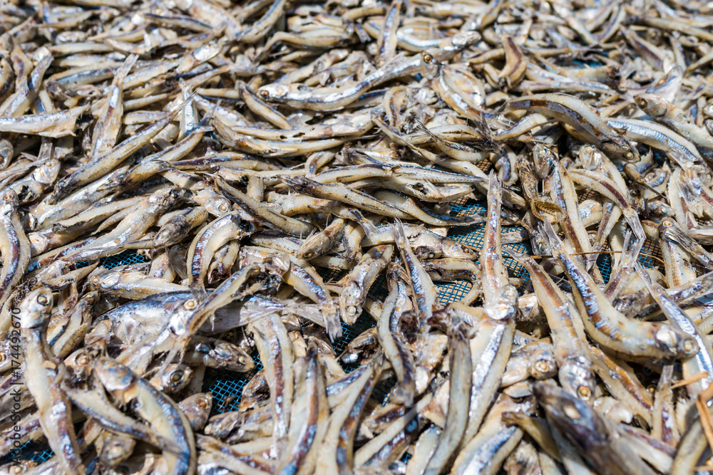 Dry fish on the beach under the sun Dry fish on the beach under the sun