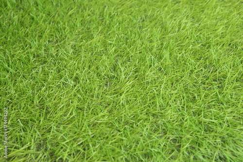 texture fake grass for background