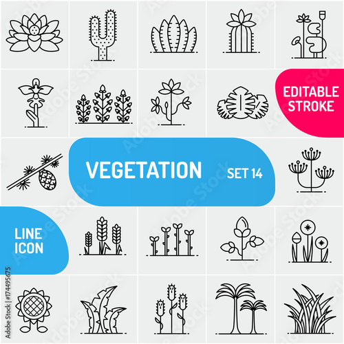 Vegetation line icons. Large icons set of flowers and plants. Can use for biology templates. Vector illustration.