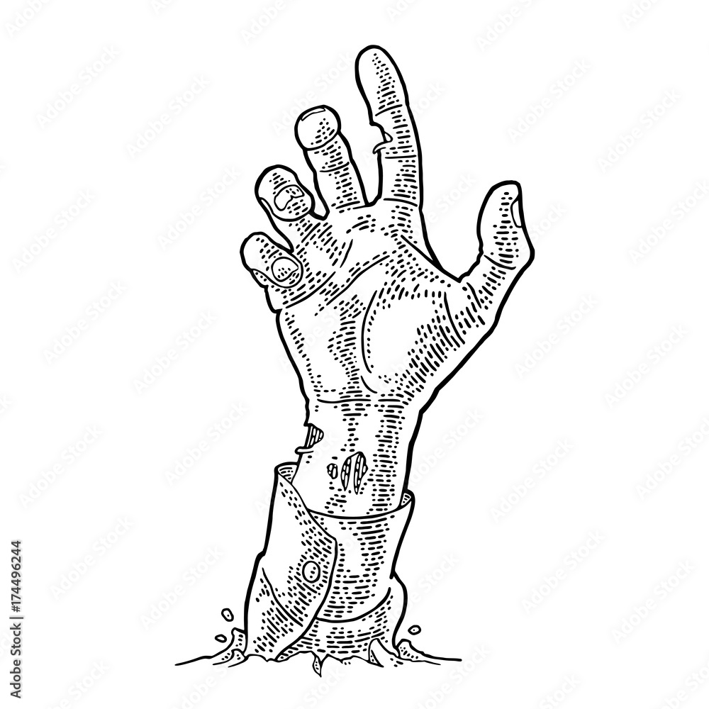 Zombie hand with claw. Vector black vintage engraving Stock Vector ...
