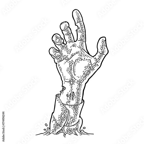 Zombie hand with claw. Vector black vintage engraving