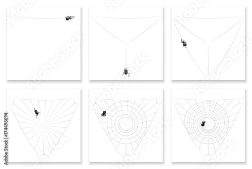 Cob web - building instruction in six steps - watch a busy black spider completing its spiral pattern natural silk artwork. Isolated vector illustration.