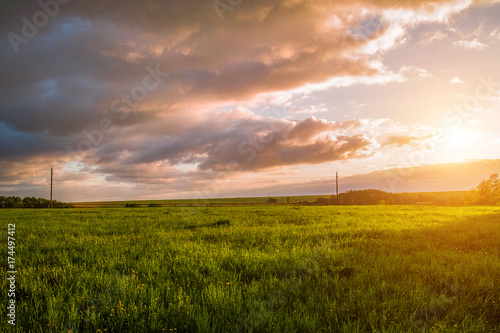 Beautiful sunset meadow landscape