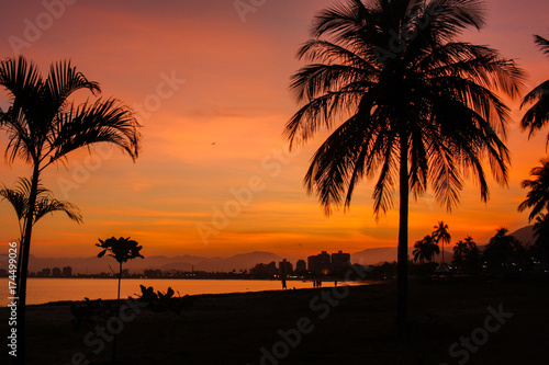 Sunset on the beach and the palm trees