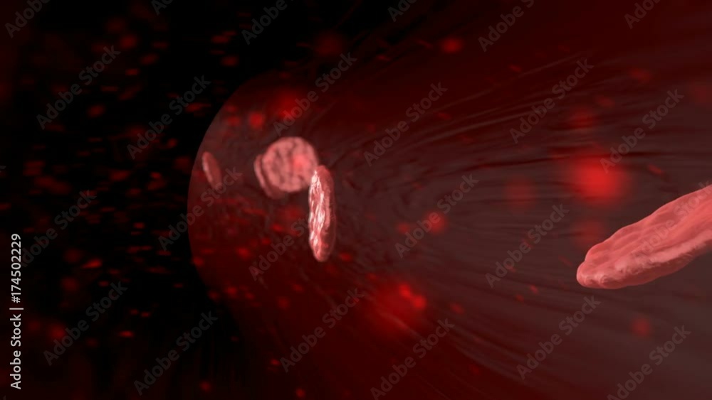 3D blood cells traveling through a vein. Red blood cells flowing in ...