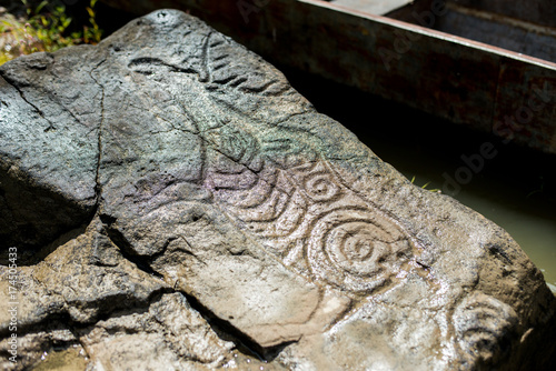 Ancient Petroglyph is located in the Sikhote-Alin , Khabarovsk, Russia © suvorovalex