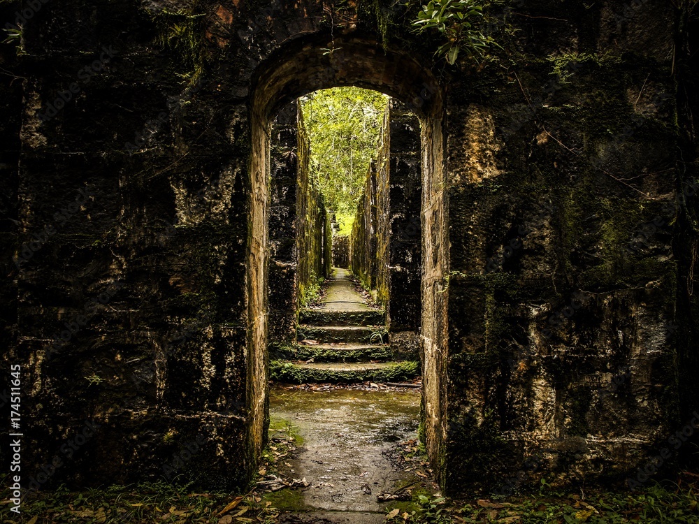 Obraz premium Old way