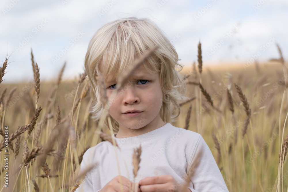 Blond Slavic happy kid boy at a ripe rye wheat field, autumn harvest, Russia, the Urals