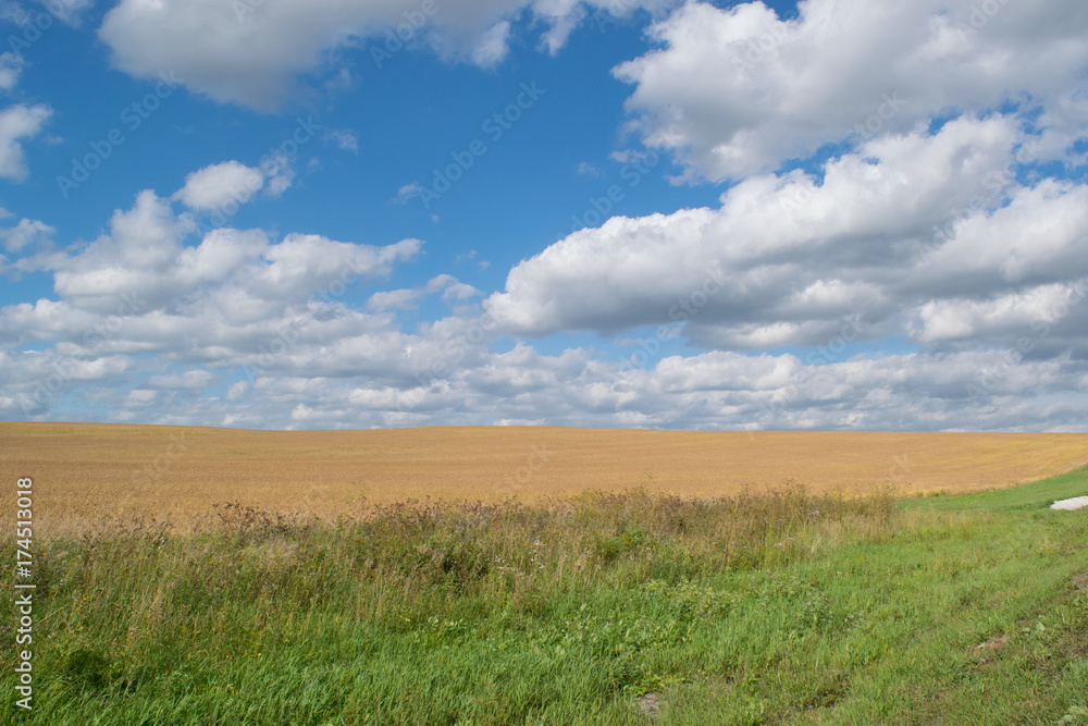 Autumn Russian grain field background, the Urals