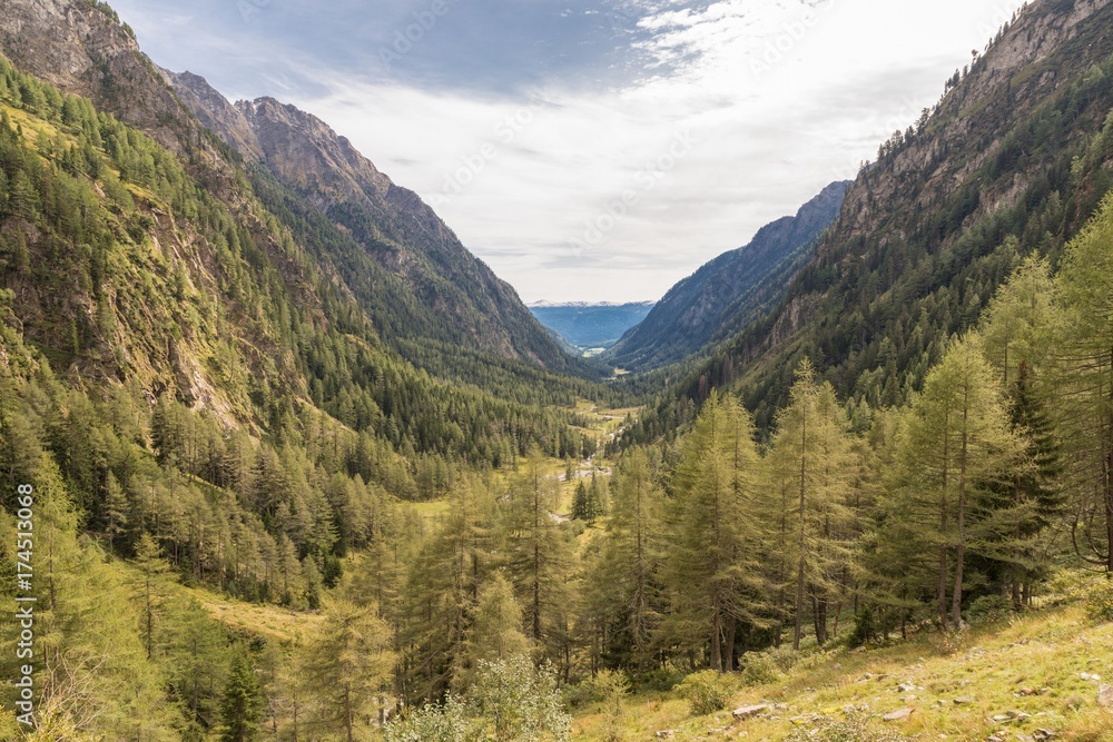 Fototapeta premium Göriachtal im Lungau mit Blick auf die Berge, Österreich
