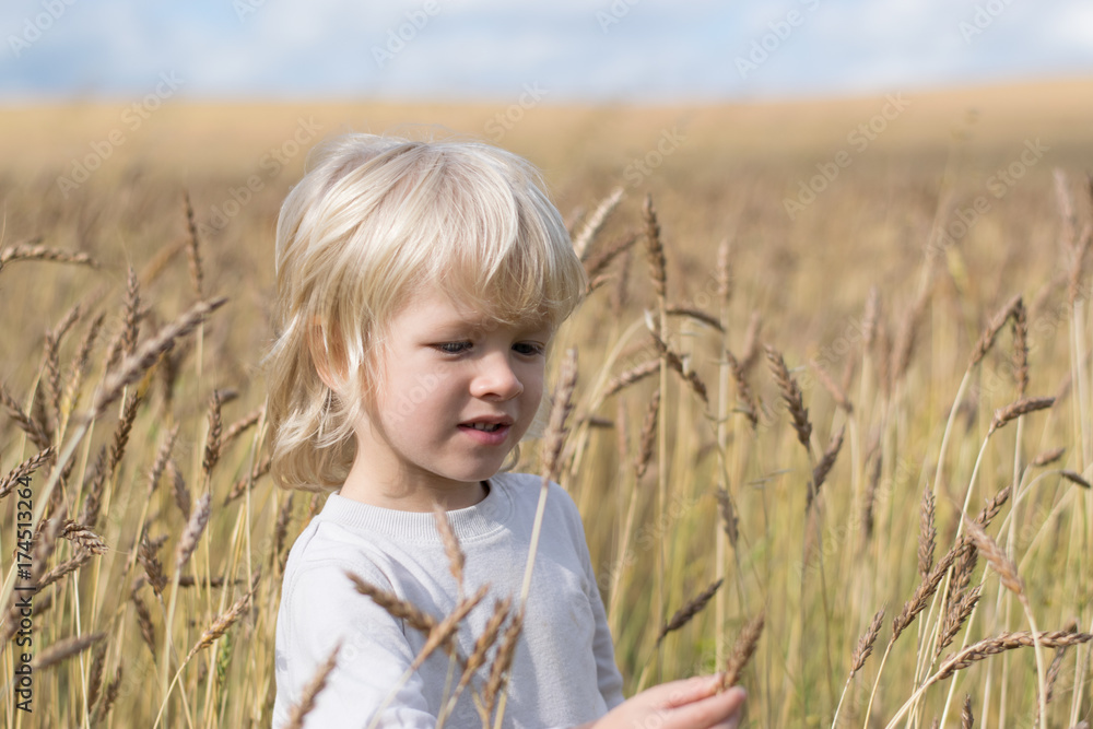 Blond Slavic happy kid boy at a ripe rye wheat field, autumn harvest, Russia, the Urals