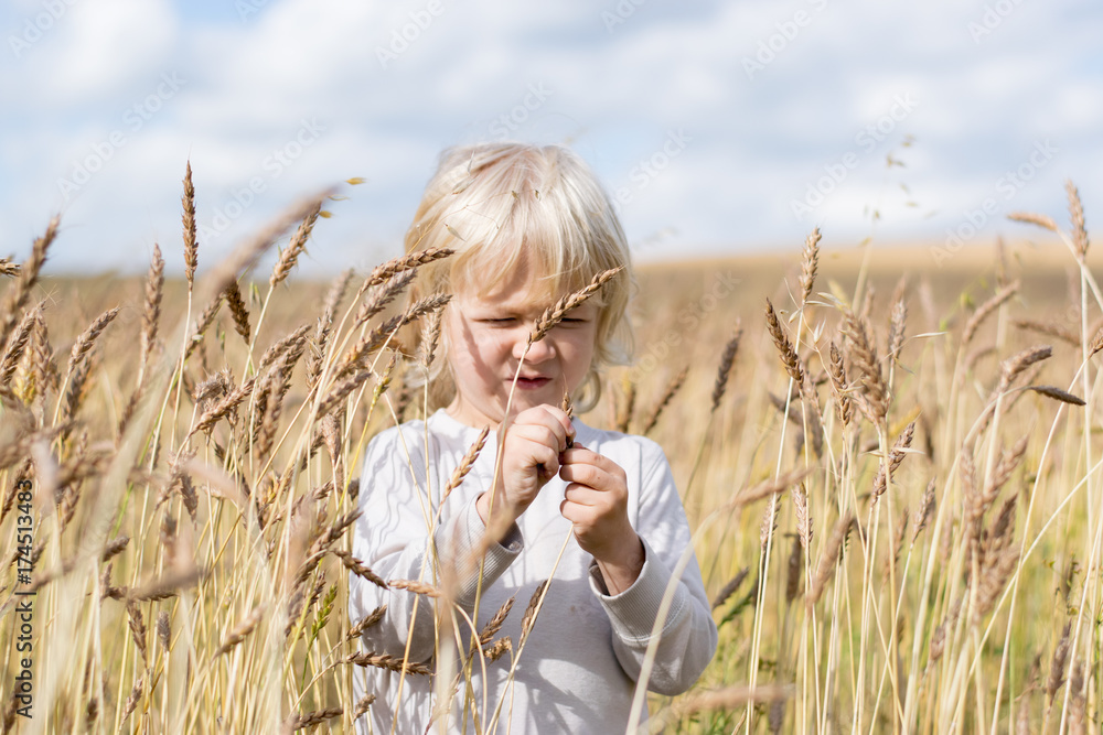 Blond Slavic happy kid boy at a ripe rye wheat field, autumn harvest, Russia, the Urals