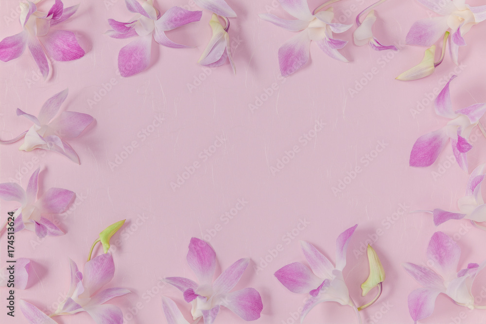 Flower frame made from orchid, pink background.