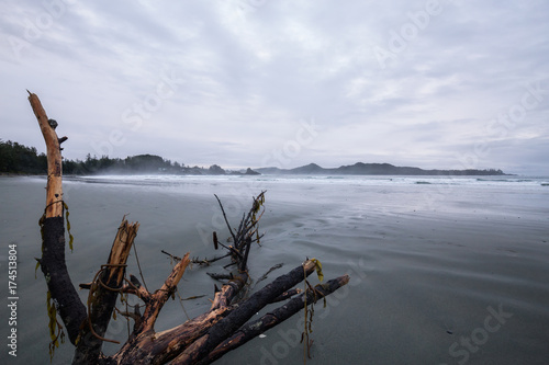 Beautiful moody view on the sandy beach on the Pacific West Coast during a cloudy early morning. Taken in Tofino, Vancouver Island, British Columbia, Canada.