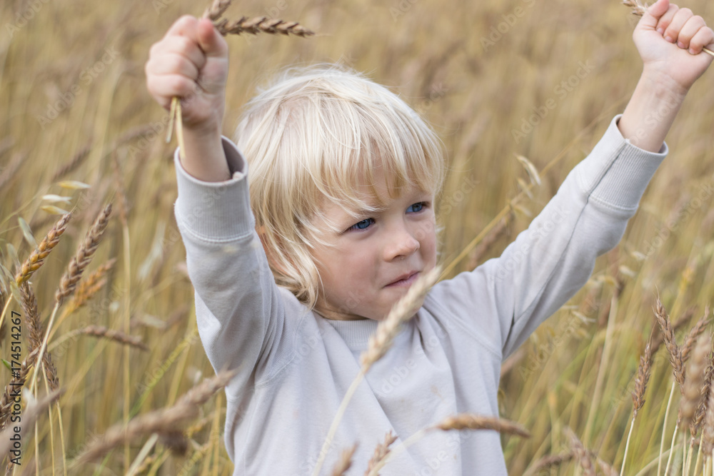Blond Slavic happy kid boy at a ripe rye wheat field, autumn harvest, Russia, the Urals