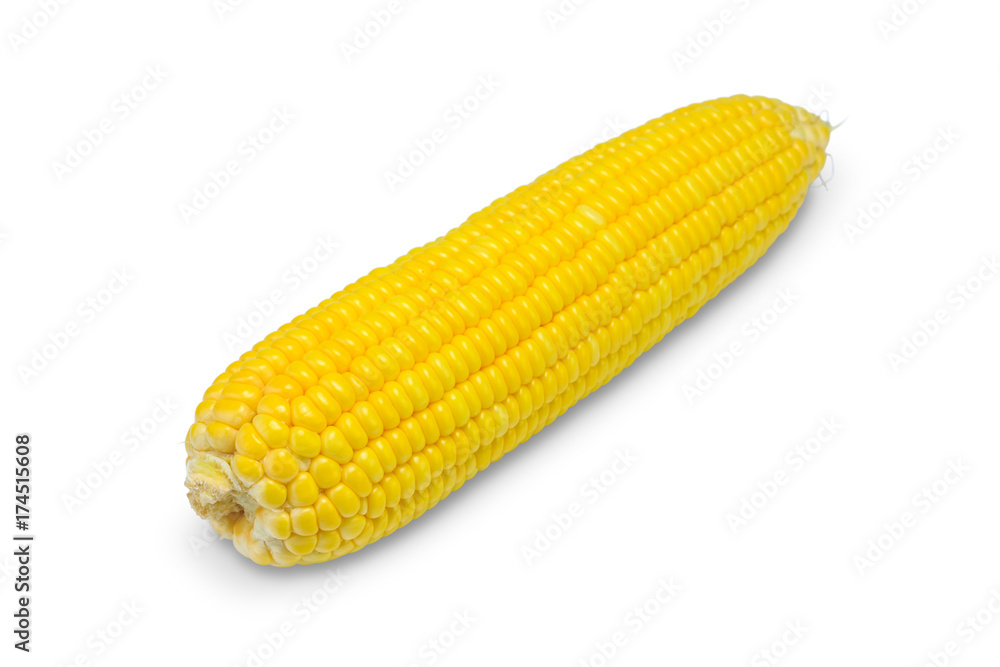Sweet corn on white Sweet corn on white
