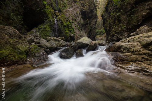River flowing down the beautiful canyon in the Canadian Landscape. Taken in Lynn Valley, North Vancouver, British Columbia, Canada.