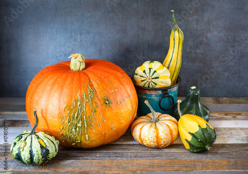 Arrangement of fall decorative pumpkins and gourds on natural rustic wooden background photo