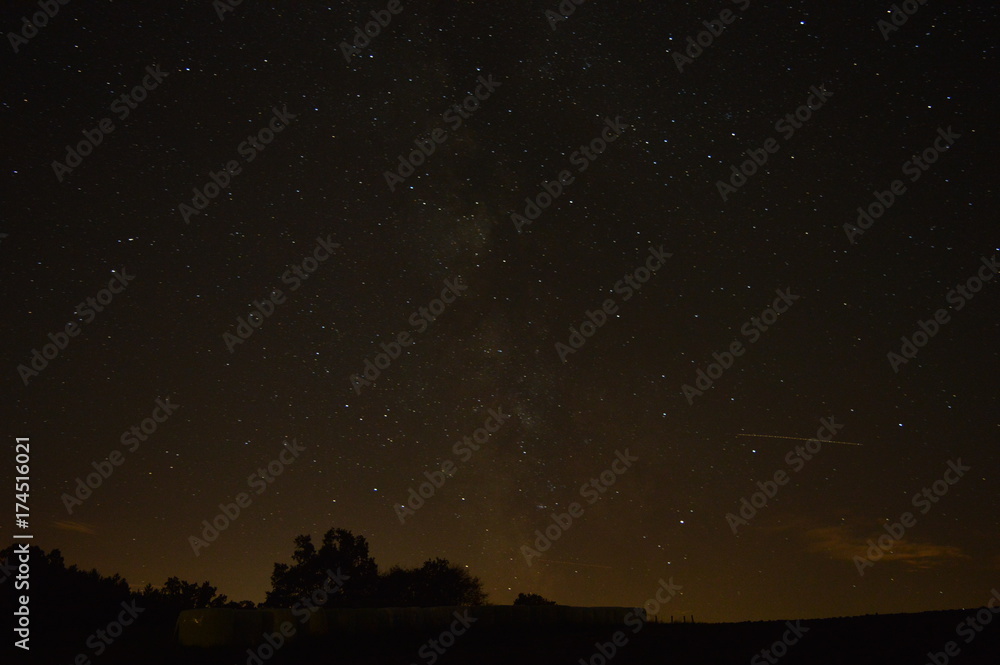 Starfield Starfield