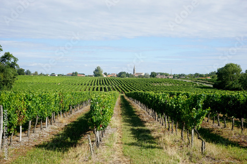 Vignoble Bordelais 