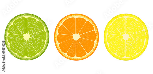 Citrus fruit slices icon