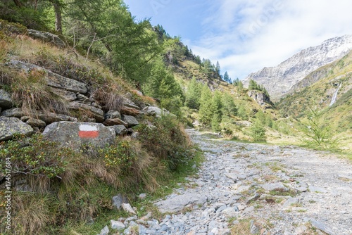 Rot weiß rote Wandermarkierung im Göriachtal im Lungau, Österreich photo