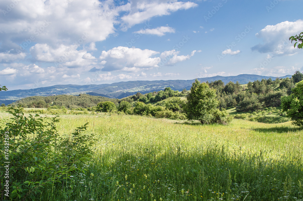 Green grass, Bulgaria