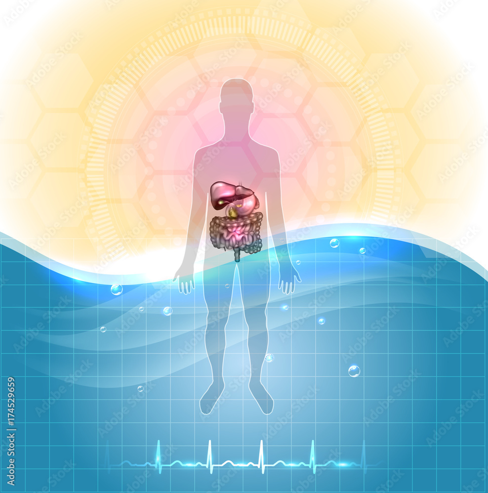 Health care poster- drinking water is healthy.  Human silhouette and gastrointestinal tract detailed anatomy, standing in the water and normal cardiogram at the bottom.