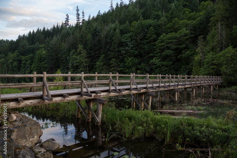 Wooden bridge across swampy water full of leafs and grass. Taken in Brohm Lake, between Squamish and Whistler, North of Vancouver, BC, Canada. Wooden bridge across swampy water full of leafs and grass. Taken in Brohm Lake, between Squamish and Whistler, North of Vancouver, BC, Canada.