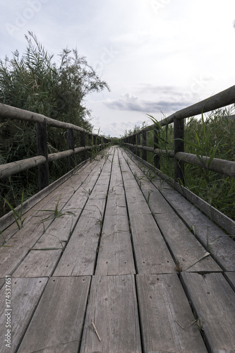 Fototapeta Naklejka Na Ścianę i Meble -  Footbridge in the Natural Park El Hondo