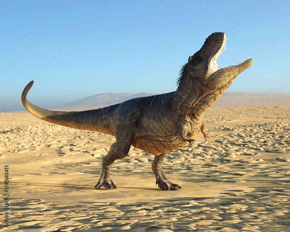 Fototapeta premium tyrannosaurus rex