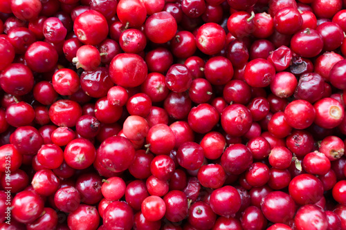 natural sweet burgundy red wallpaper of berry fresh cranberries cranberry close-up