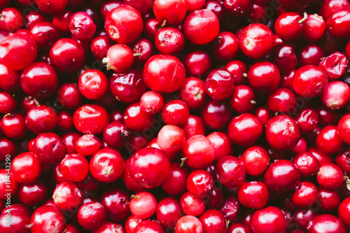 natural sweet burgundy red wallpaper of berry fresh cranberries cranberry close-up