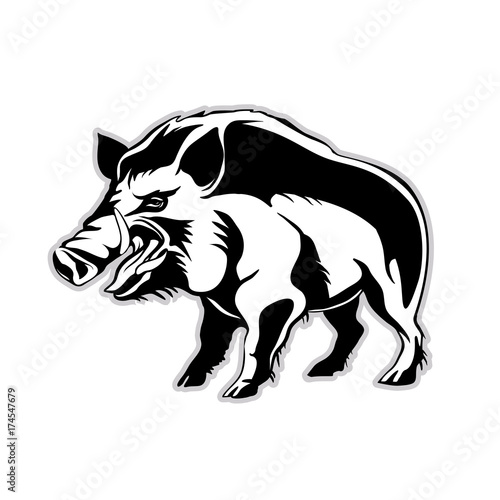 silhouette of a wild boar, a wild pig