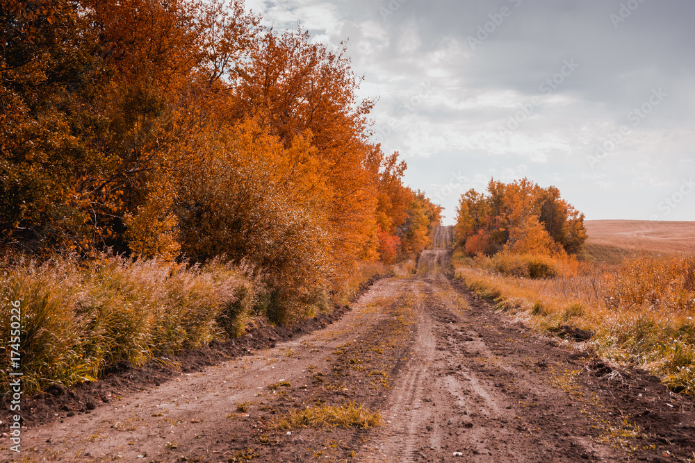 Country Road in Fall 