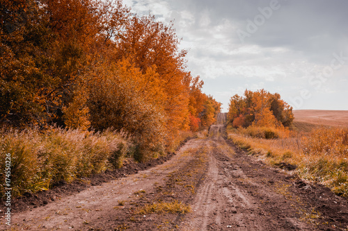 Country Road in Fall 