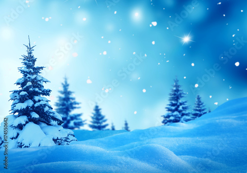 Christmas winter background with fir tree and blurred bokeh