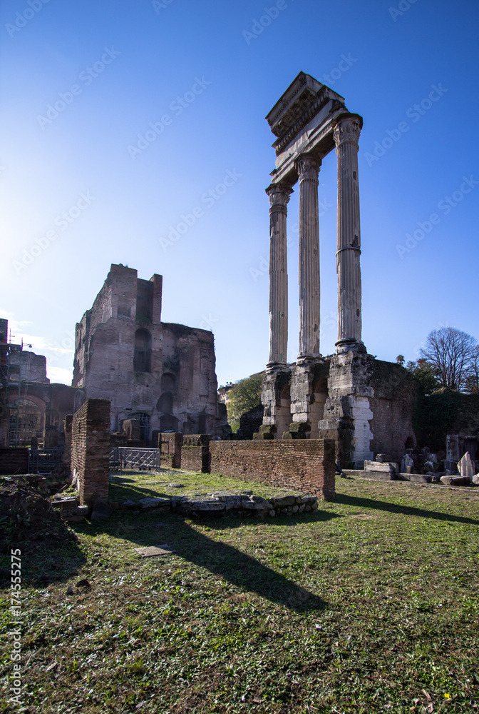 Fototapeta premium Roman Forum, Rome