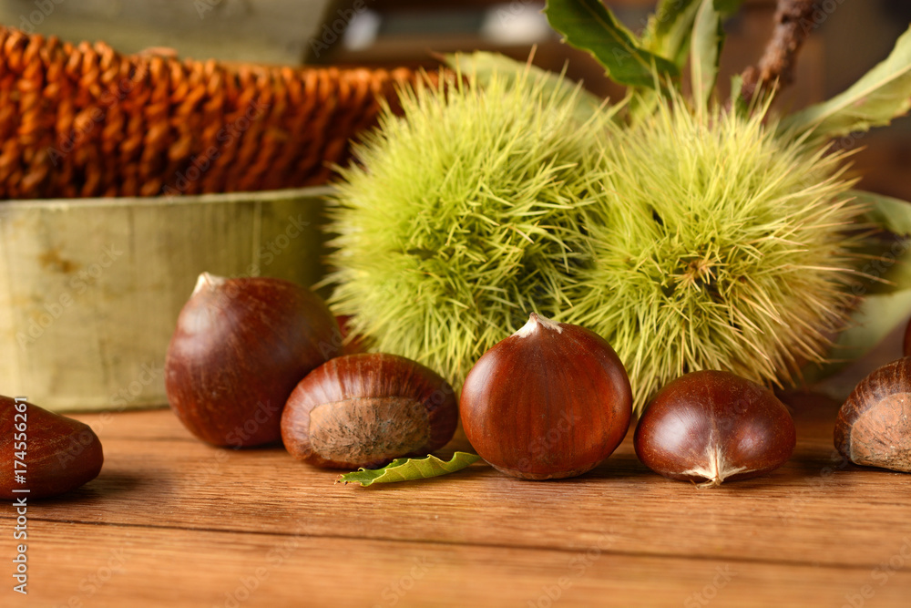 pile of chestnut with hedgehog - wood background pile of chestnut with hedgehog - wood background