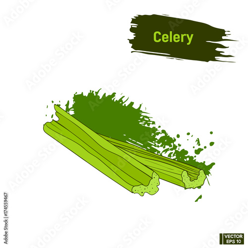 Colored sketch, pieces of celery.