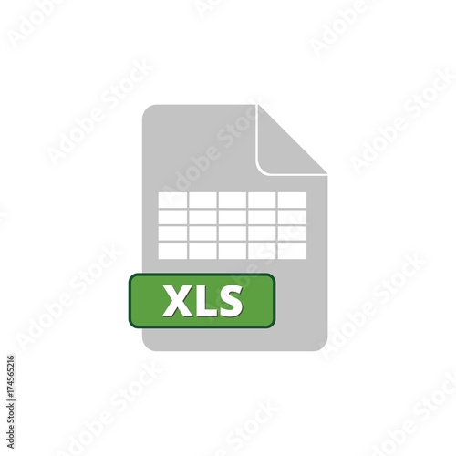 The XLS icon