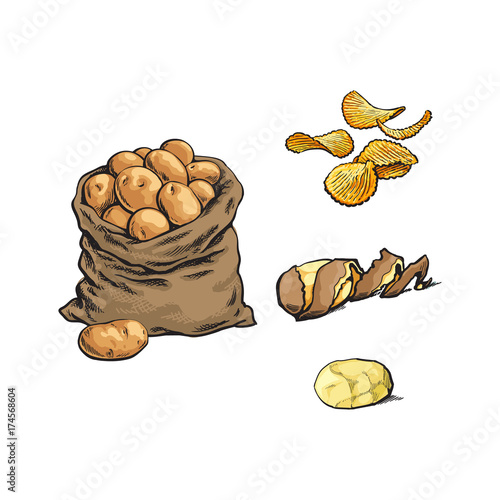 vector sketch cartoon ripe raw peeled yellow potato with spiral twisted peel, fluted chips and bag with potato set . Isolated illustration on a white background.